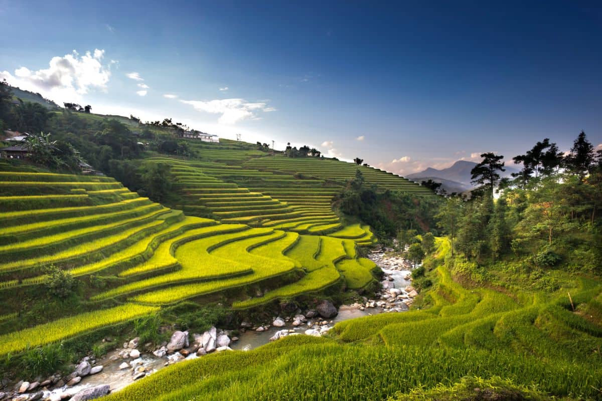 Рисовые террасы Долины сапа, Вьетнам