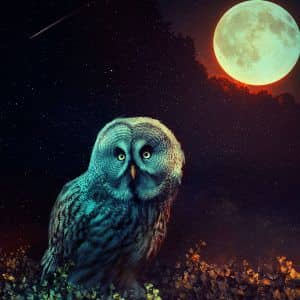 Картина “Одинокая полночь”