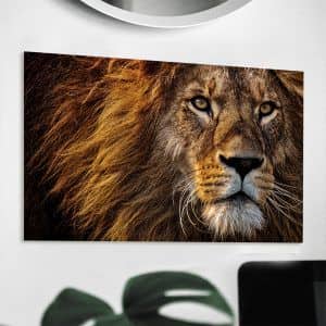Картина «Величественный лев»