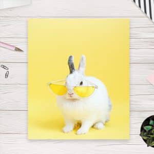 Картина «Милый кролик в очках»