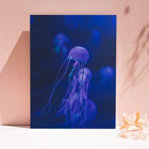 Картина «Флуоресцентные медузы»