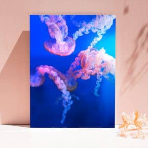 Картина “Розовые медузы”