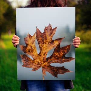 Картина “Осенний лист”