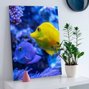 Картина “Тропические рыбки”