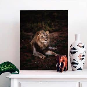 Картина “Довольный лев”