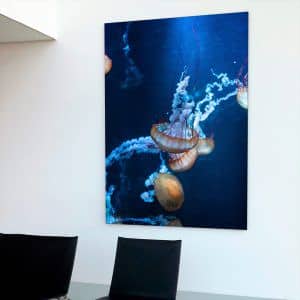 Картина «Грациозные медузы»