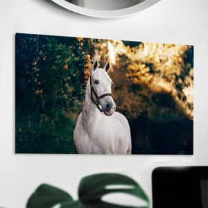 Картина “Белый конь”