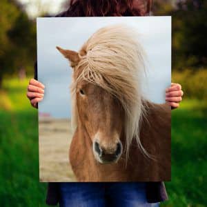 Картина «Конь с растрепанной гривой»
