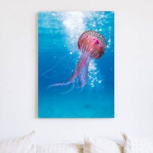 Картина «Красивая медуза»