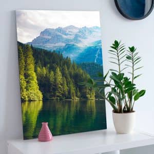 Картина «Лес на фоне гор»