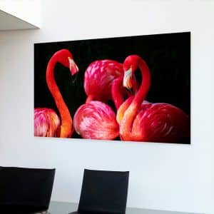 Картина «Фламинго — 2»