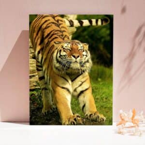 Картина “Потягивающийся тигр”