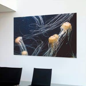Картина “Танец медуз”