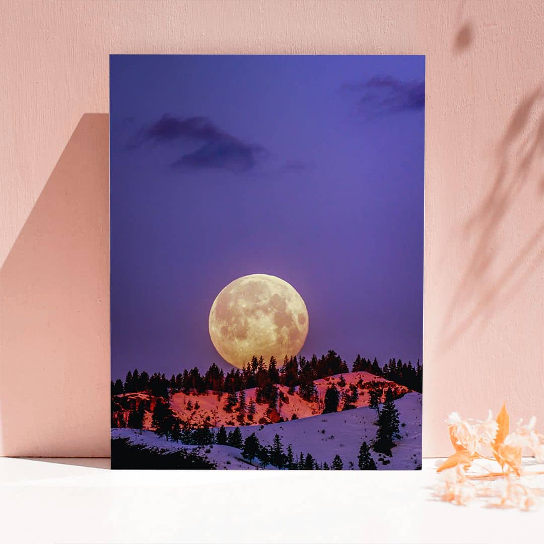 Картина «Луна над редким лесом»