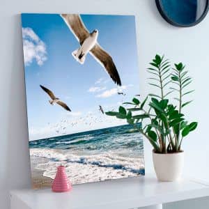Картина "Птицы над морем"