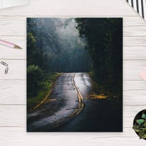 Картина «Дорога в дождливом лесу»
