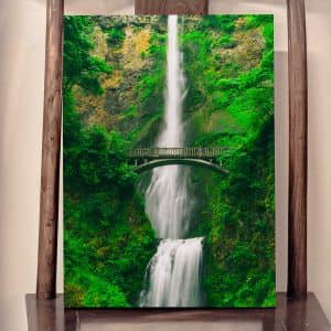 Картина "Мост над водопадом"