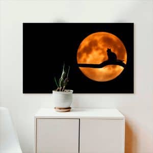 Картина “Кот на фоне оранжевой Луны”