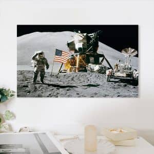 Картина "Аполлон-16"