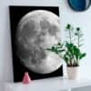 Картина "Луна из космоса"