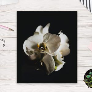 Картина “Орхидея”