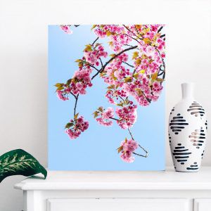 Картина «Цветущая вишня»