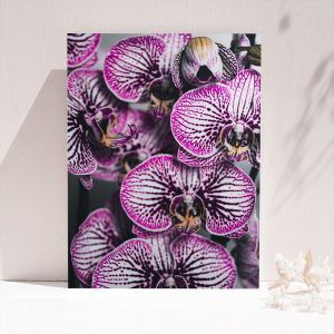 Картина «Фиолетовый орхидеи»