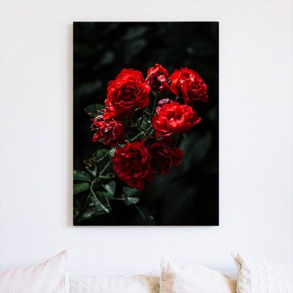 Картина "Розы на тёмном фоне"